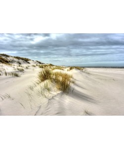 Hady Khandani, HDR - DUNES AT THE BEACH - SPIEKEROOG - GERMANY