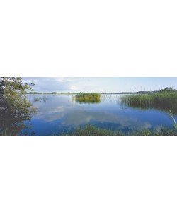 Heinrich Hecht, Der See