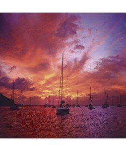 Heinrich Hecht, Sailor`s Delight