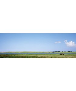 Heinrich Hecht, Mecklenburg-Vorpommern