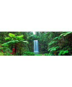 John Xiong, Millaa Millaa Falls, Australia