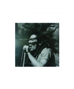 Bob Marley, Bob Marley, On Stage