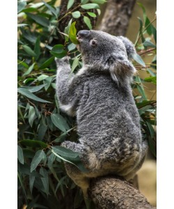 Konfiguration benutzen