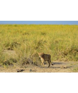 Konfiguration benutzen