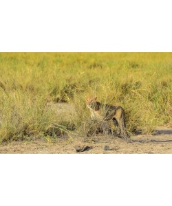 Konfiguration benutzen