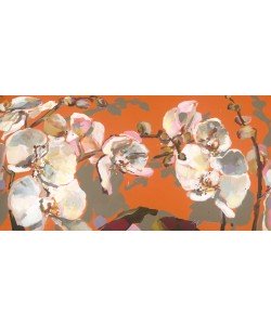 Daniela Lüers, Orchideen