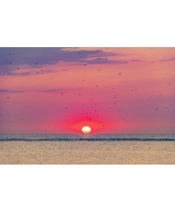 Konfiguration benutzen