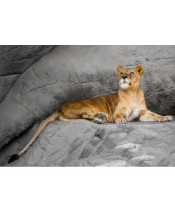 Konfiguration benutzen