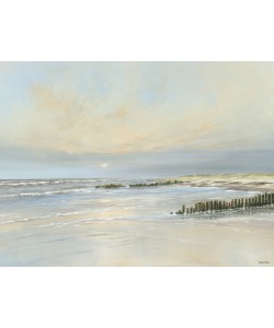 Frank Meisel, Vor der Flut I