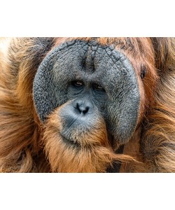 Konfiguration benutzen