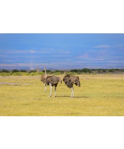 Konfiguration benutzen