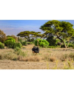 Konfiguration benutzen