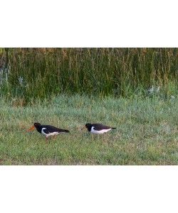 Konfiguration benutzen