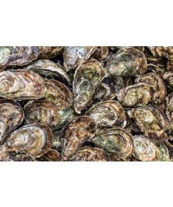 Konfiguration benutzen