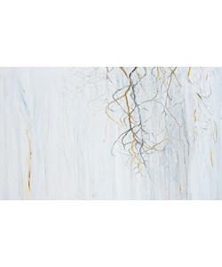 Pietro Capogrosso, Radici 2