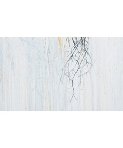 Pietro Capogrosso, Radici 3