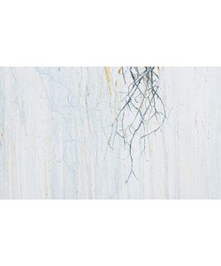 Pietro Capogrosso, Radici 3