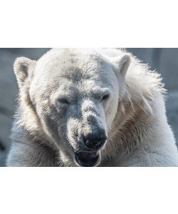 Konfiguration benutzen