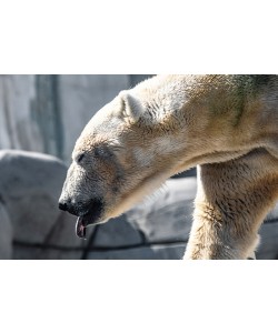 Konfiguration benutzen