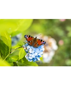 Konfiguration benutzen