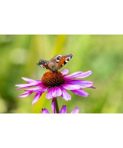 Konfiguration benutzen