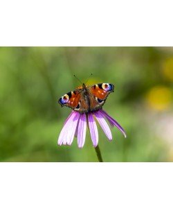 Konfiguration benutzen