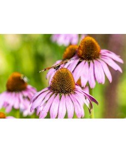 Konfiguration benutzen