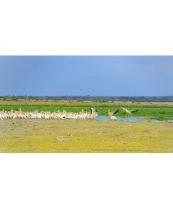 Konfiguration benutzen