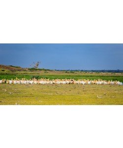 Konfiguration benutzen