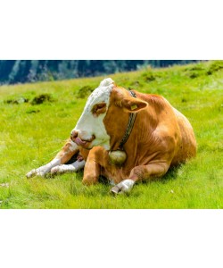 Konfiguration benutzen