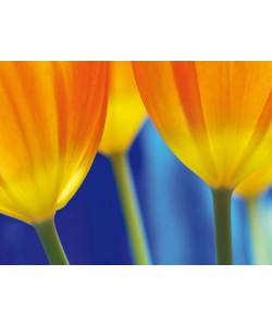 Michael Rateike, Frühlingserwachen 3