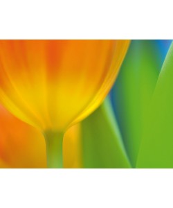 Michael Rateike, Frühlingserwachen 4