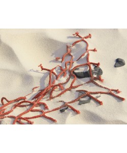 Udo Schroeter, Netz im Strandsand