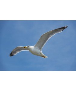 Konfiguration benutzen