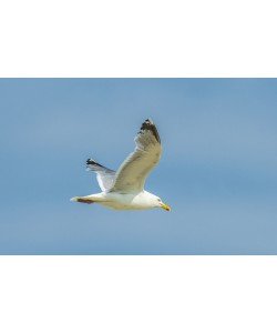 Konfiguration benutzen