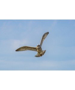 Konfiguration benutzen