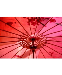 Hady Khandani, SILK UMBRELLA - RED