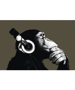 Leinwandbild Unbekannt - The Chimp Stereo