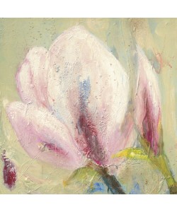 Petra Stahl, Magnolie II