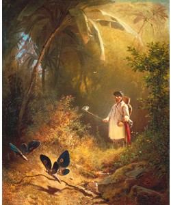 Carl Spitzweg, Der Schmetterlingsfänger