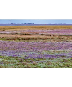 Konfiguration benutzen