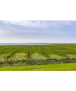 Konfiguration benutzen