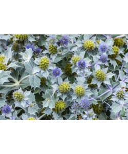 Konfiguration benutzen