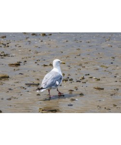 Konfiguration benutzen