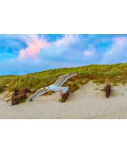 Konfiguration benutzen