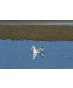 Konfiguration benutzen