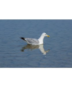 Konfiguration benutzen