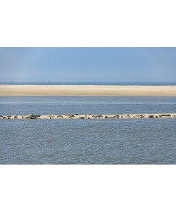 Konfiguration benutzen