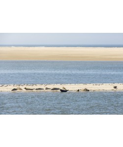 Konfiguration benutzen