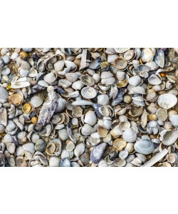 Konfiguration benutzen